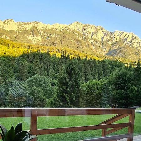 Pensiune Subcrai Cu Centru Spa Зернешті Екстер'єр фото